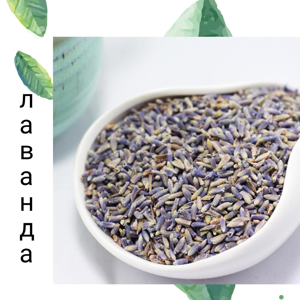 лаванда пост 3